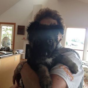 Meet your Posher, Patty